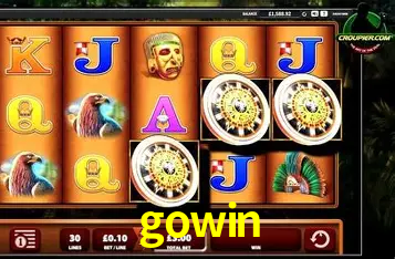 Experiência VIP gowin