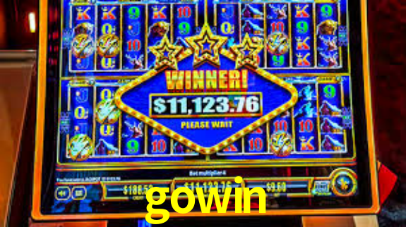 Premium Interface gowin